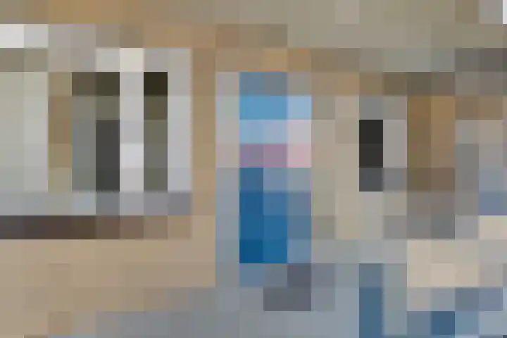 Het Veerse Bree 43 Vrouwenpolder thumbnail 6