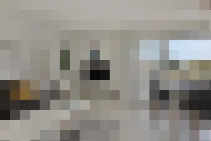 Het Veerse Bree 43 Vrouwenpolder thumbnail 8