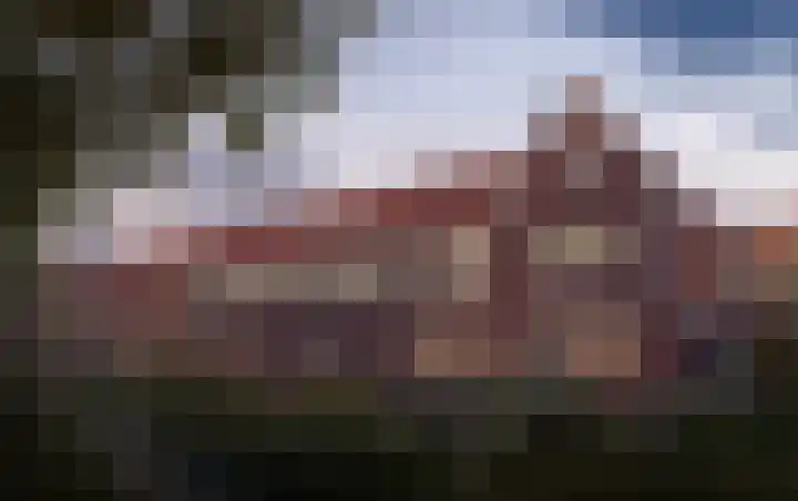 Het Veld 17 Hillegom thumbnail 6