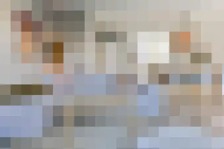 Het Veld 21 Hooglanderveen thumbnail 10