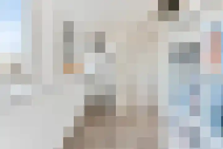 Het Veld 21 Hooglanderveen thumbnail 27