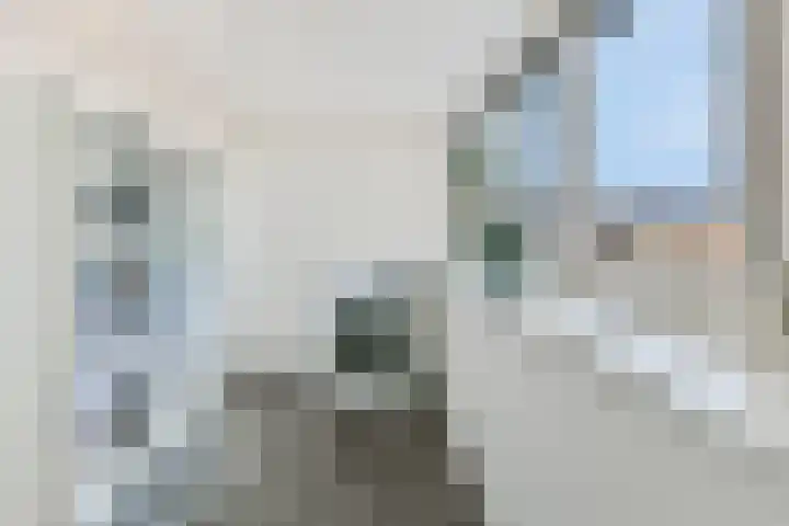 Het Veld 21 Hooglanderveen thumbnail 28