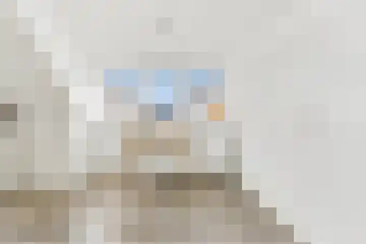 Het Veld 21 Hooglanderveen thumbnail 30