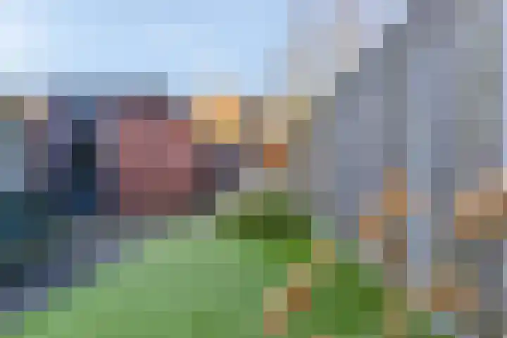 Het Veld 21 Hooglanderveen thumbnail 35