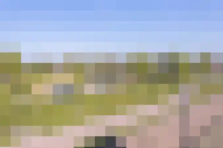 Het Veld 21 Hooglanderveen thumbnail 38