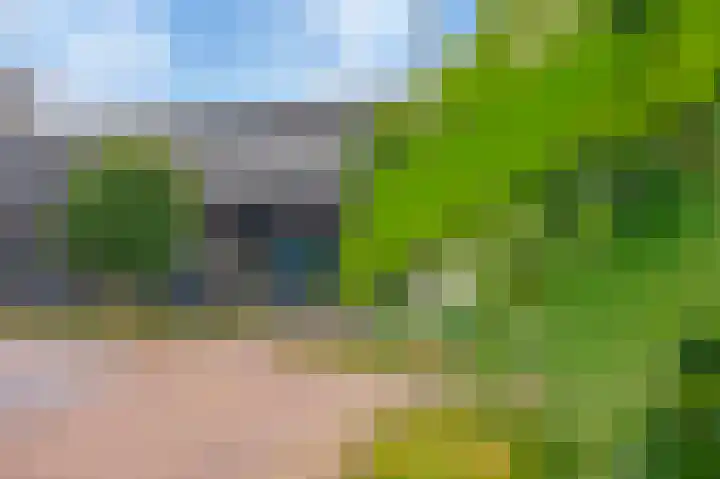 Het Veld 21 Hooglanderveen thumbnail 41