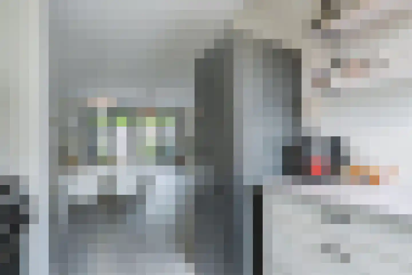 Het Veld 3 Hooglanderveen thumbnail 19
