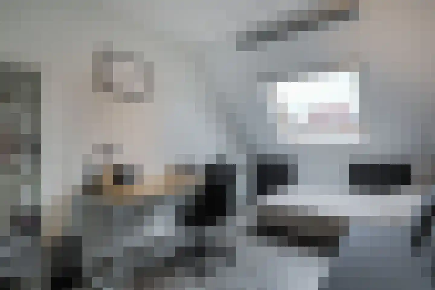 Het Veld 3 Hooglanderveen thumbnail 25