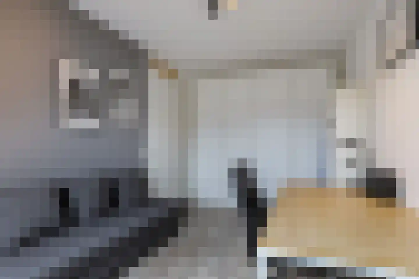 Het Veld 3 Hooglanderveen thumbnail 27