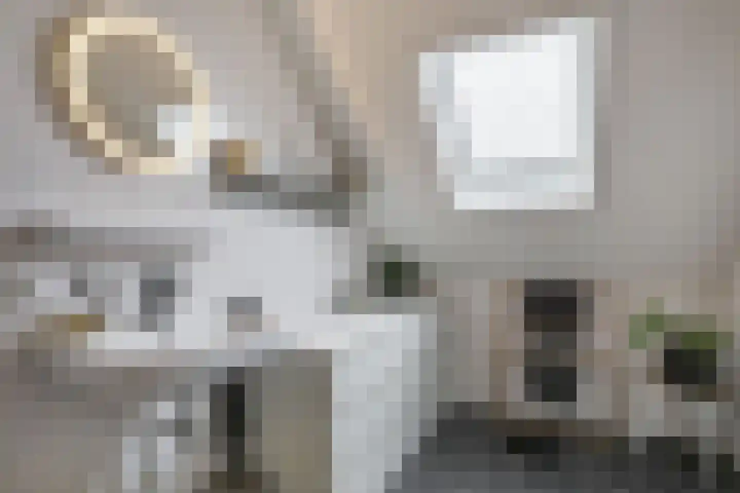 Het Veld 3 Hooglanderveen thumbnail 29
