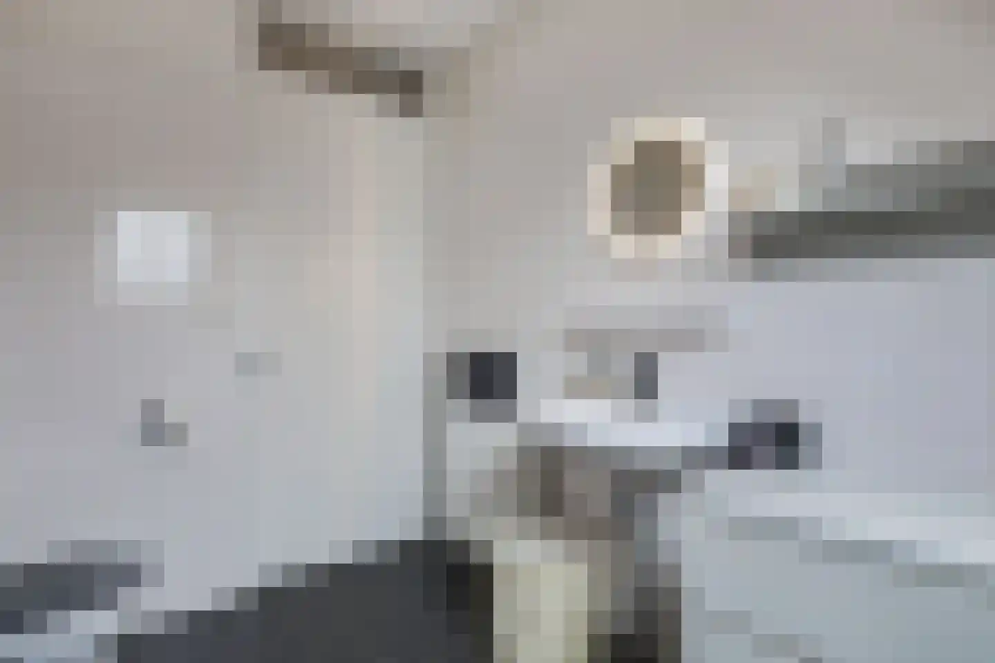 Het Veld 3 Hooglanderveen thumbnail 30