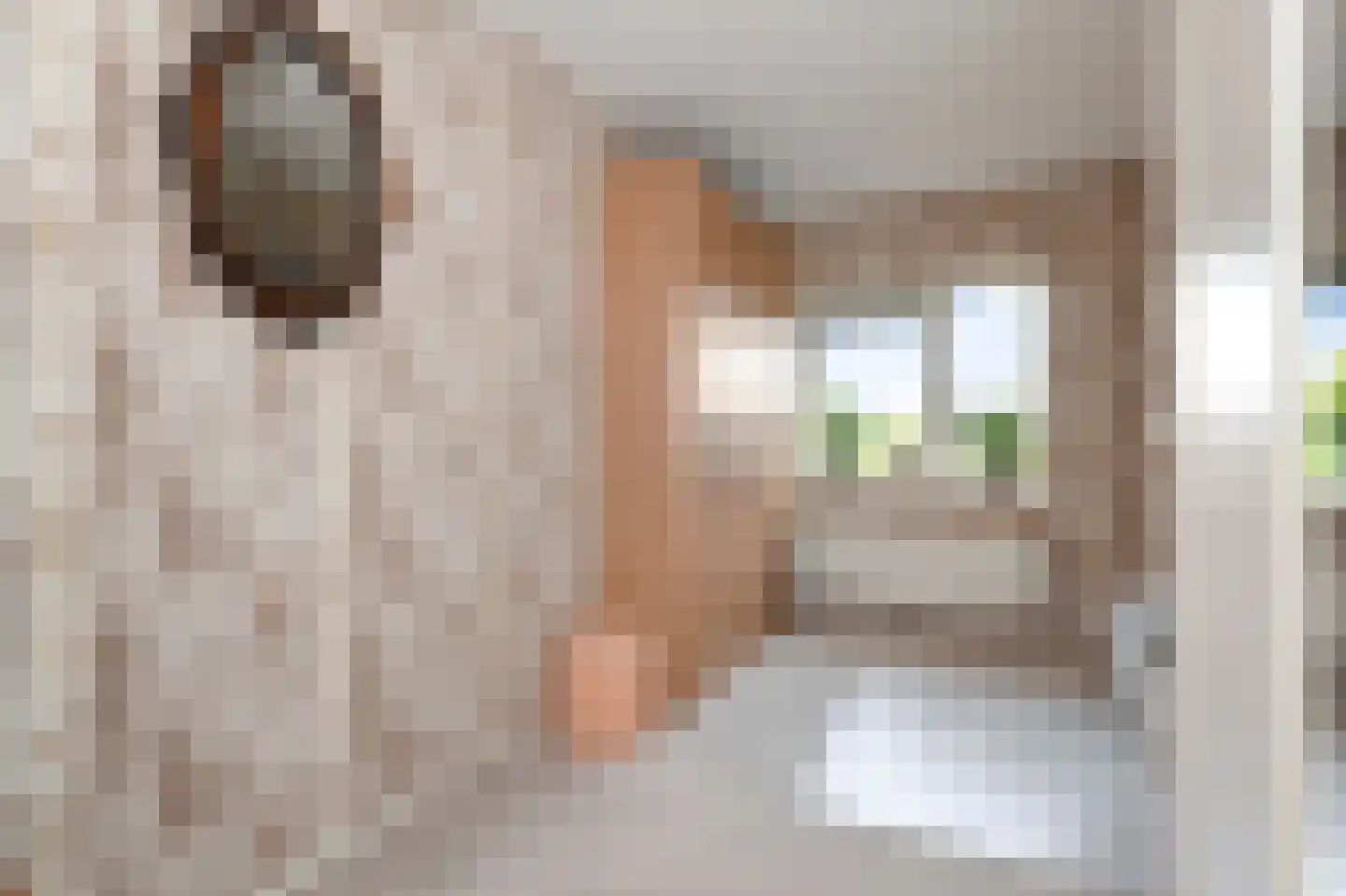 Het Veld 5 Monster thumbnail 22