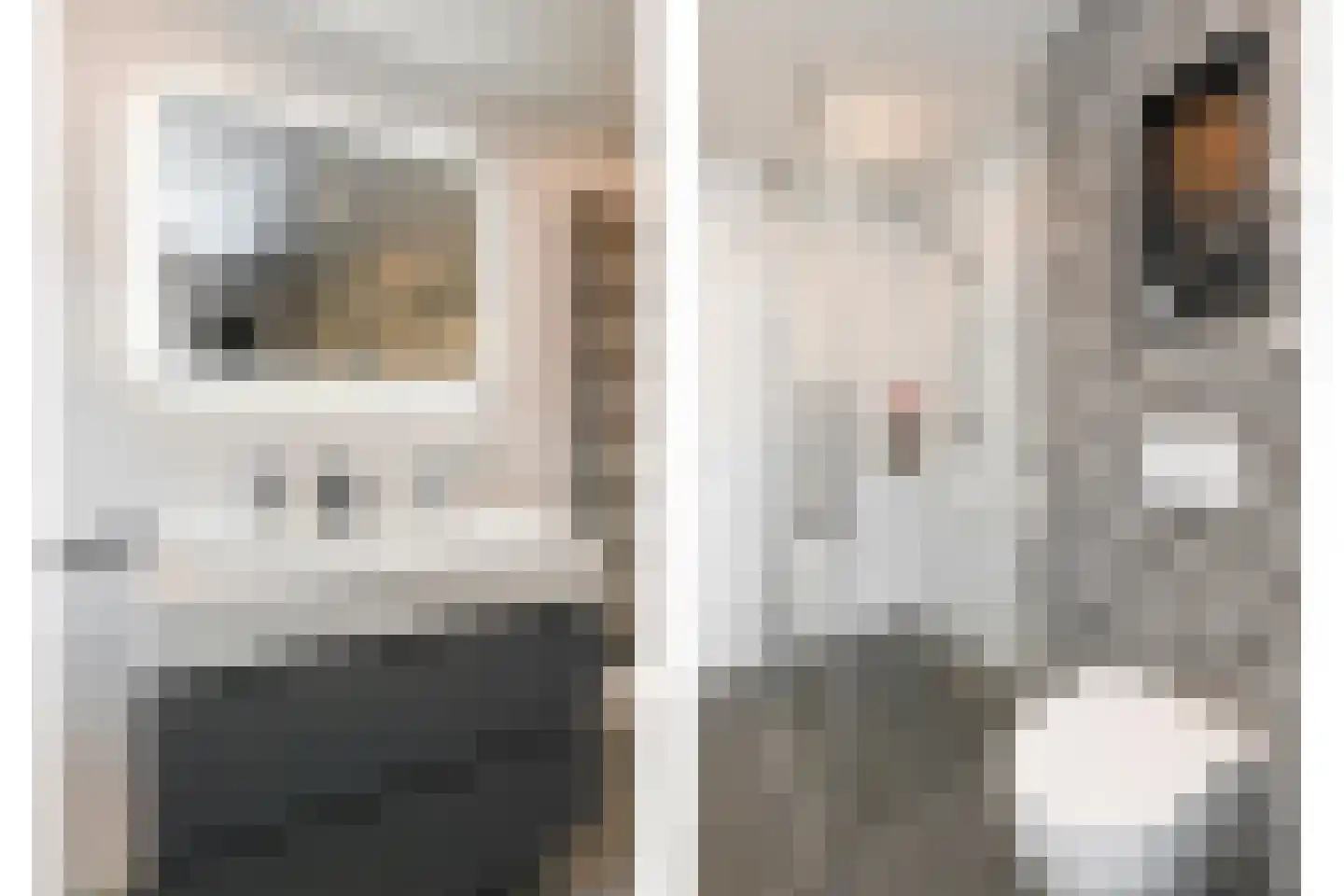 Het Veld 5 Monster thumbnail 27