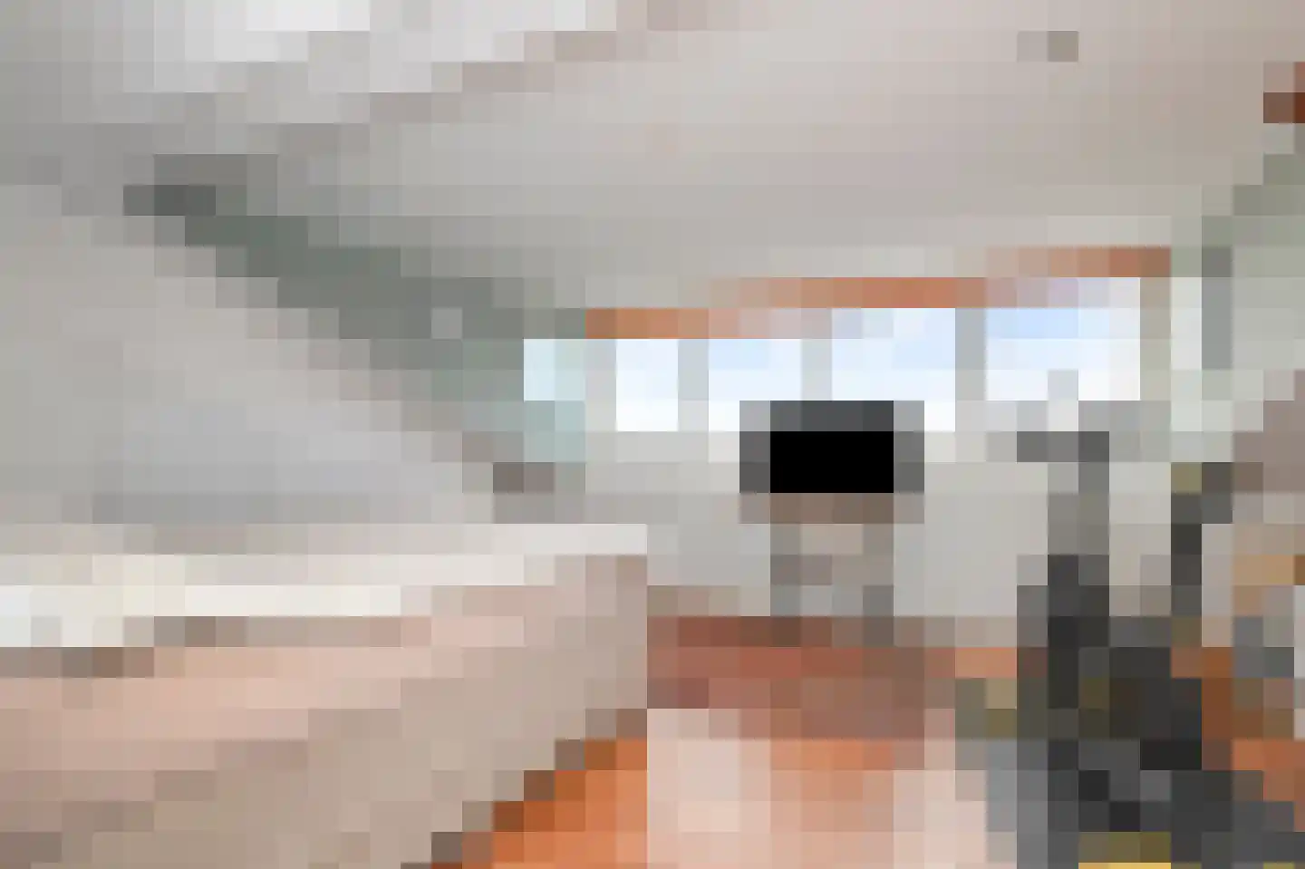 Het Veld 5 Monster thumbnail 28