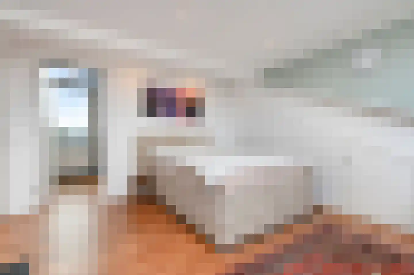 Het Veld 5 Monster thumbnail 29