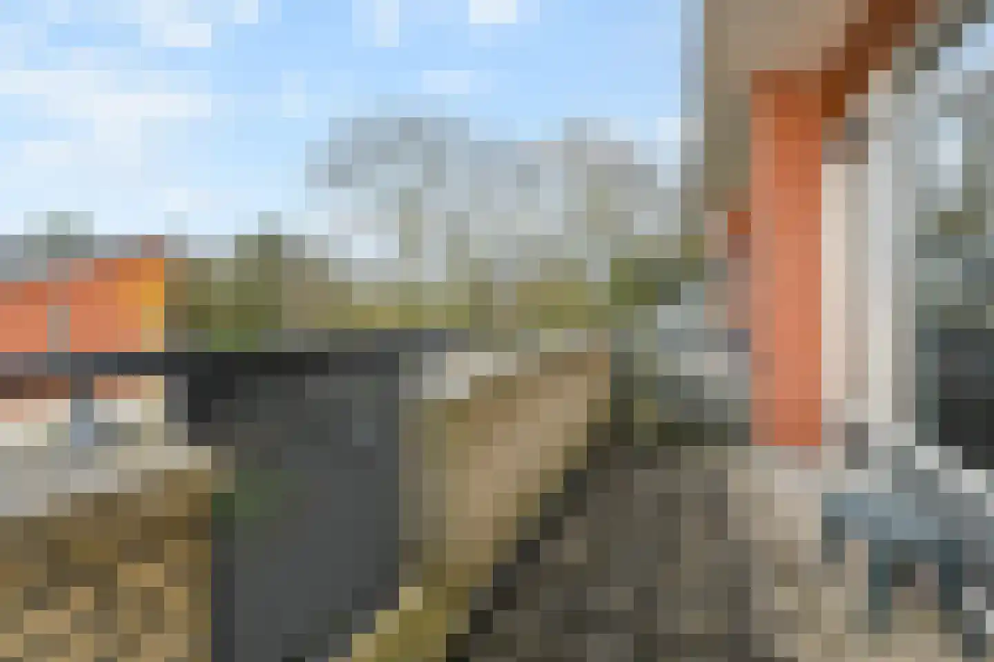 Het Veld 5 Monster thumbnail 33