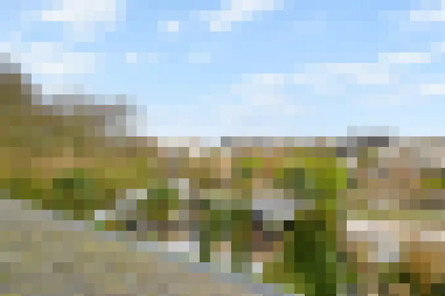 Het Veld 5 Monster thumbnail 34