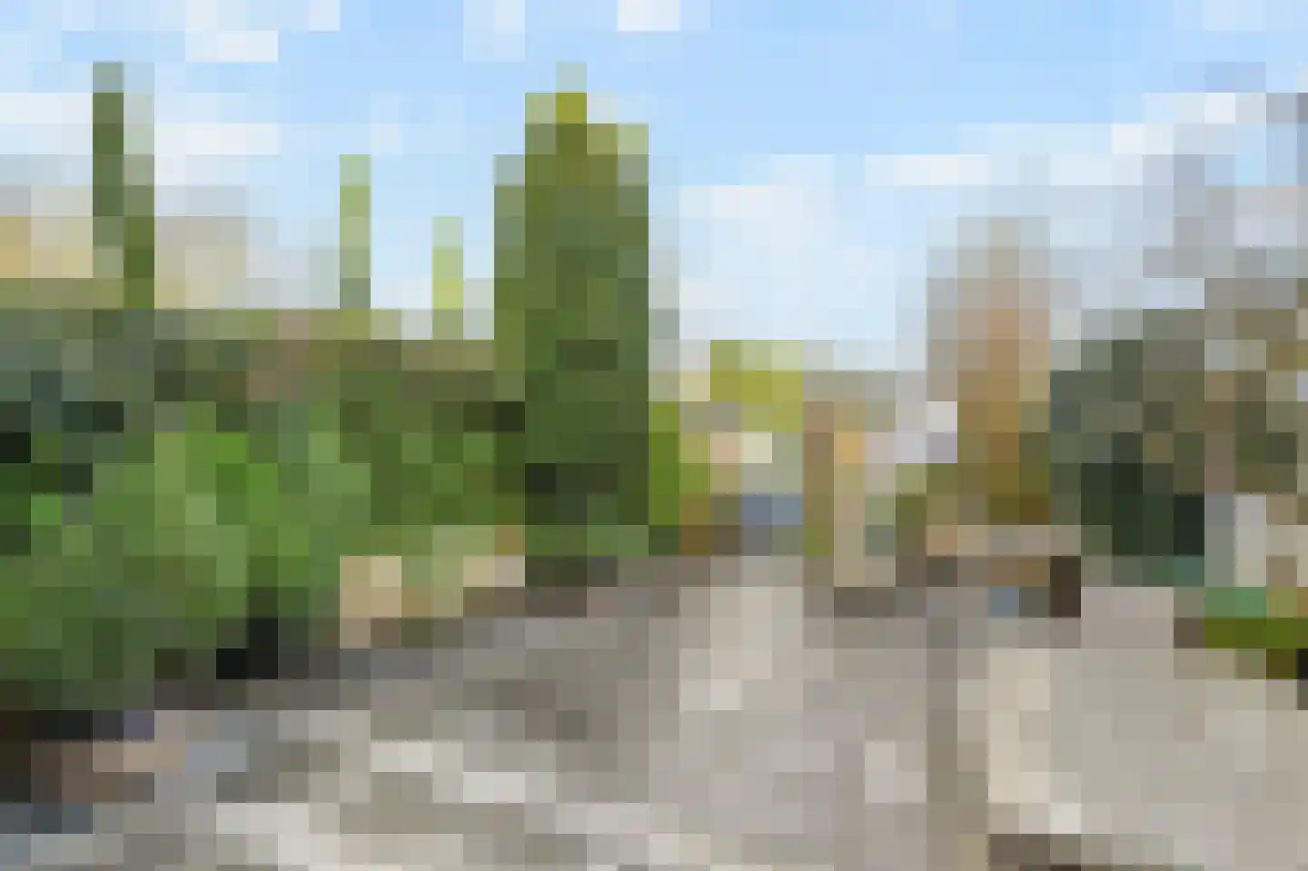 Het Veld 5 Monster thumbnail 35