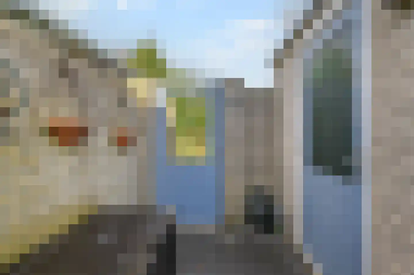 Het Veld 5 Monster thumbnail 36