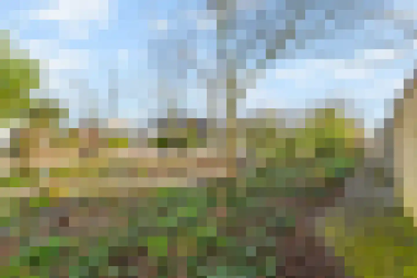 Het Veld 5 Monster thumbnail 37