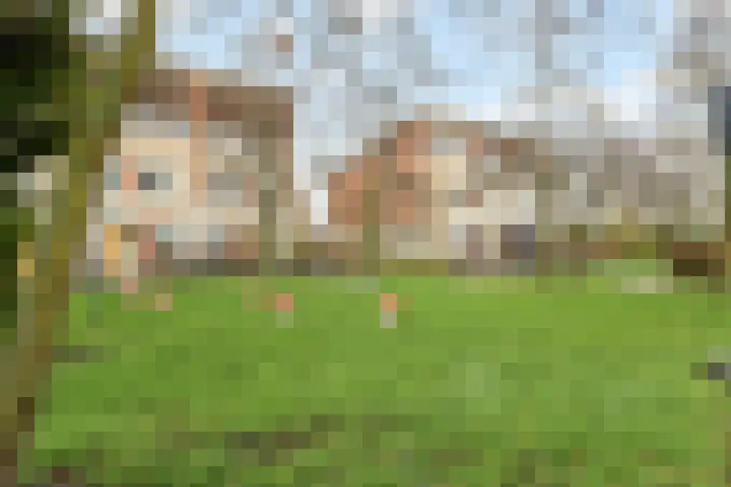 Het Veld 5 Monster thumbnail 40