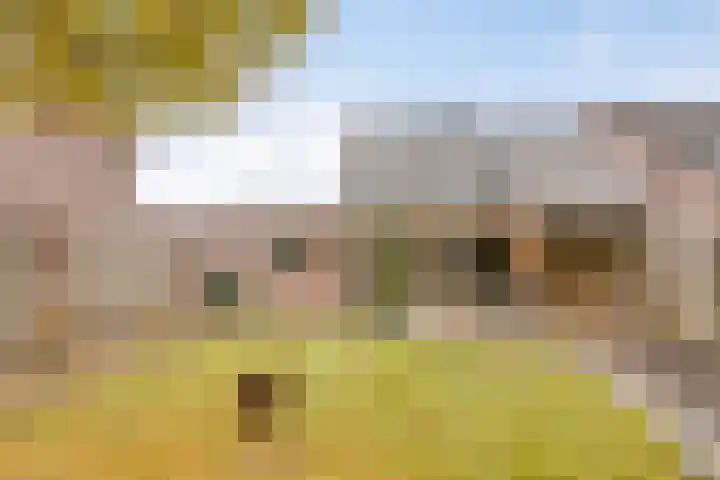 Het Veldje 105 Horst thumbnail 38