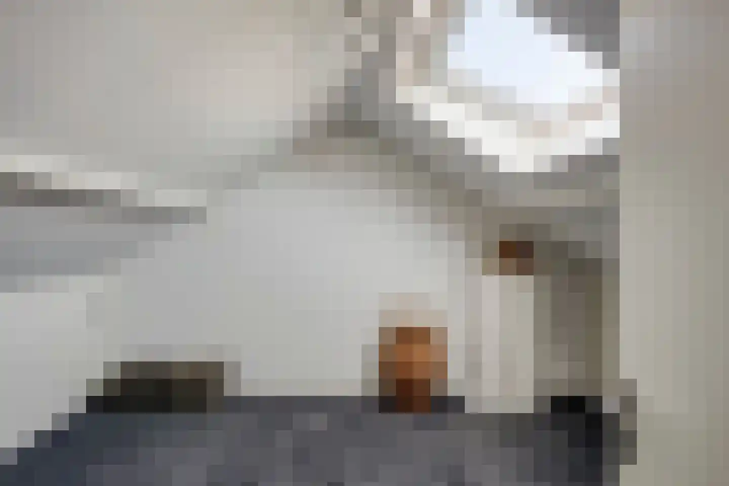 Het Veldje 121 Horst thumbnail 23