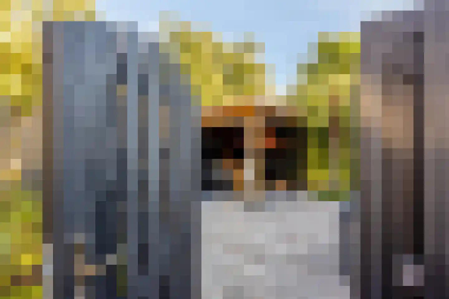 Het Veldje 121 Horst thumbnail 24