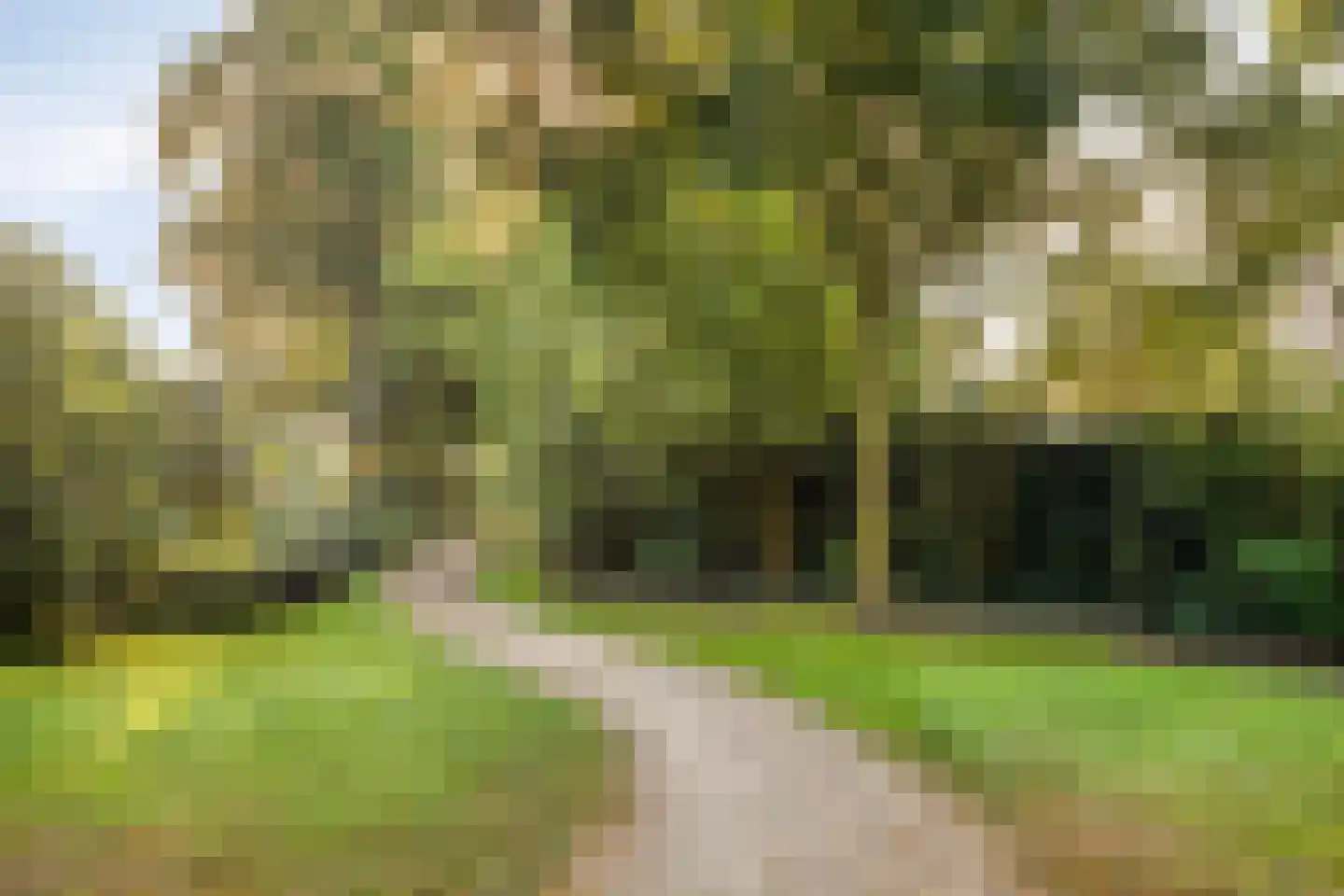 Het Veldje 121 Horst thumbnail 31