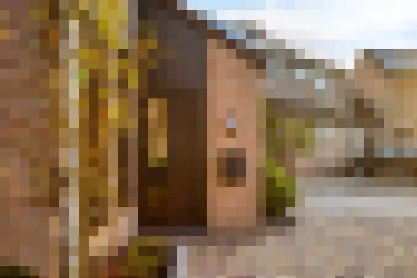 Het Veldje 121 Horst thumbnail 5