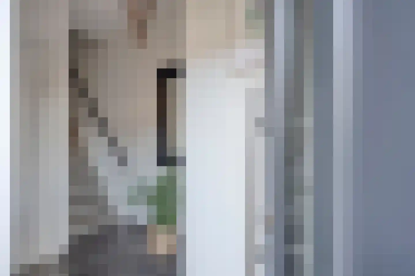 Het Veldje 121 Horst thumbnail 6