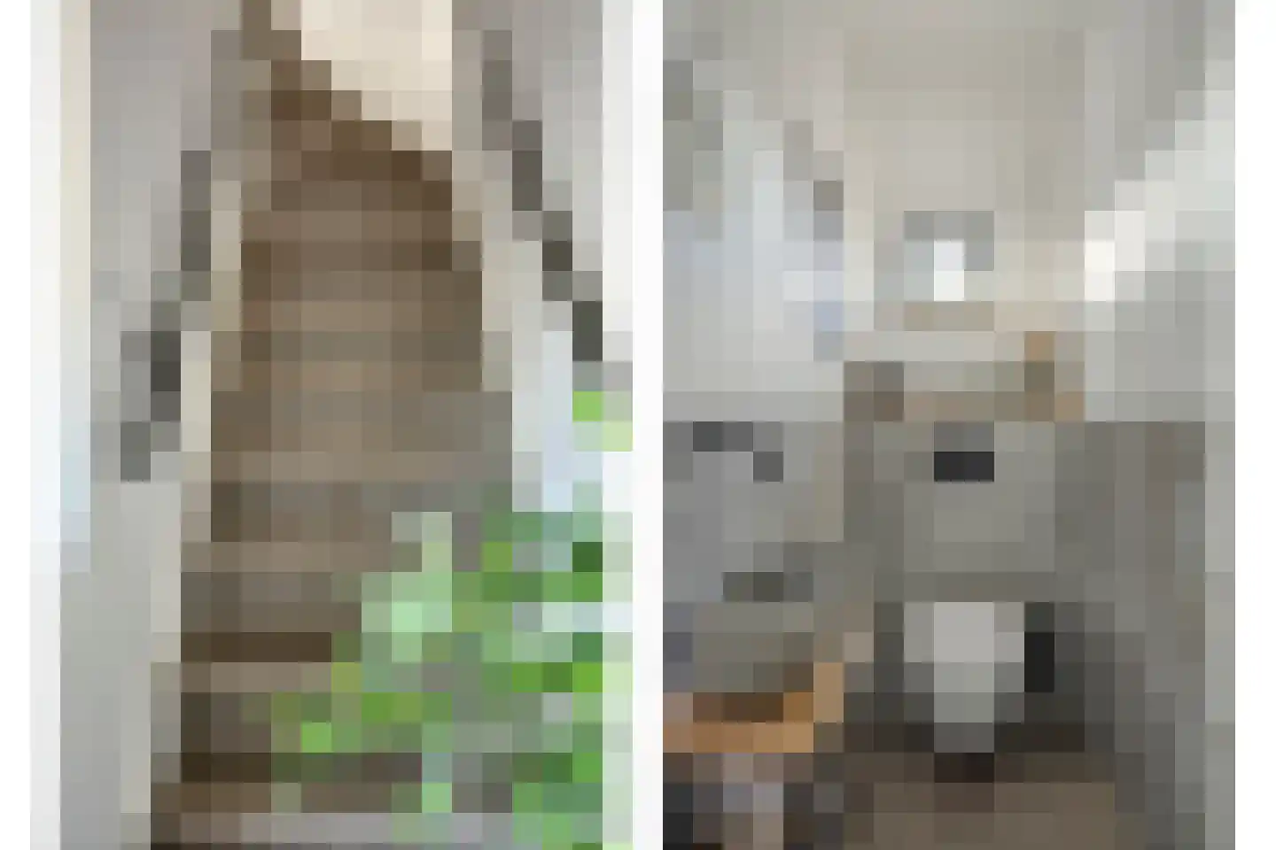 Het Veldje 121 Horst thumbnail 7