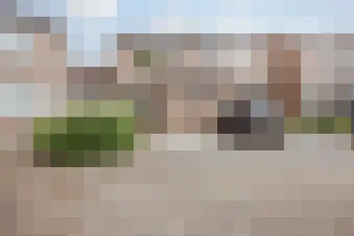 Het Veldje 129 Horst