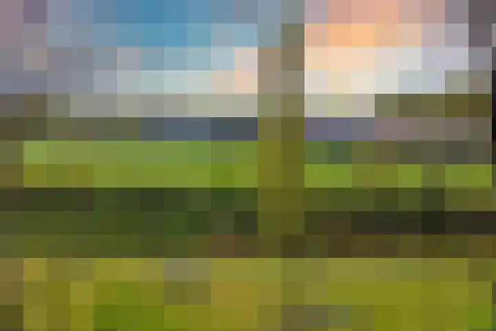 Het Veldje 129 Horst thumbnail 13