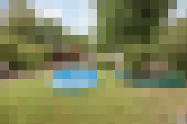 Het Veldje 129 Horst foto 2