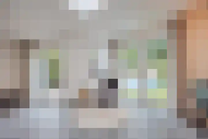 Het Veldje 129 Horst thumbnail 20