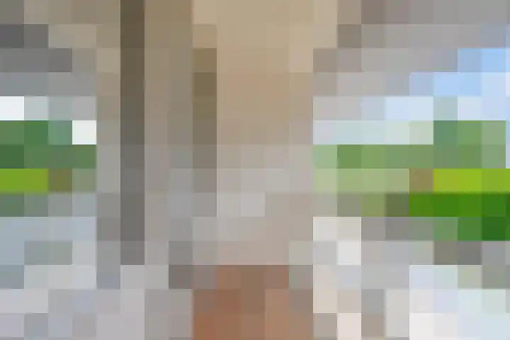 Het Veldje 129 Horst thumbnail 35