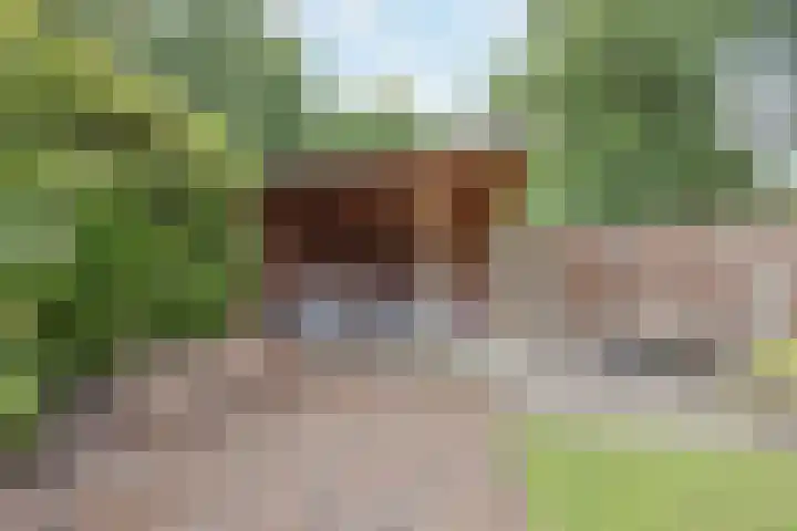 Het Veldje 129 Horst thumbnail 41