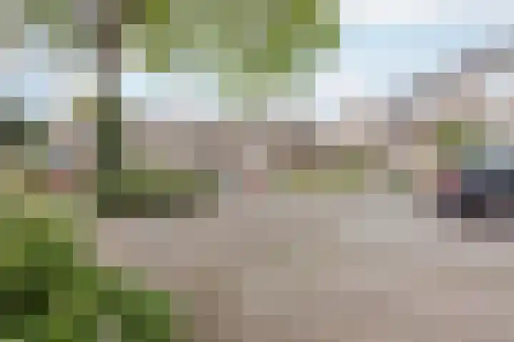 Het Veldje 129 Horst thumbnail 44
