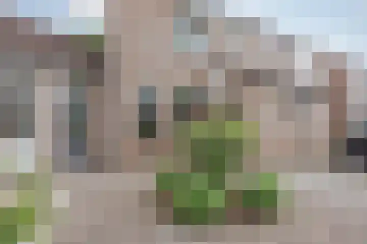 Het Veldje 129 Horst thumbnail 7