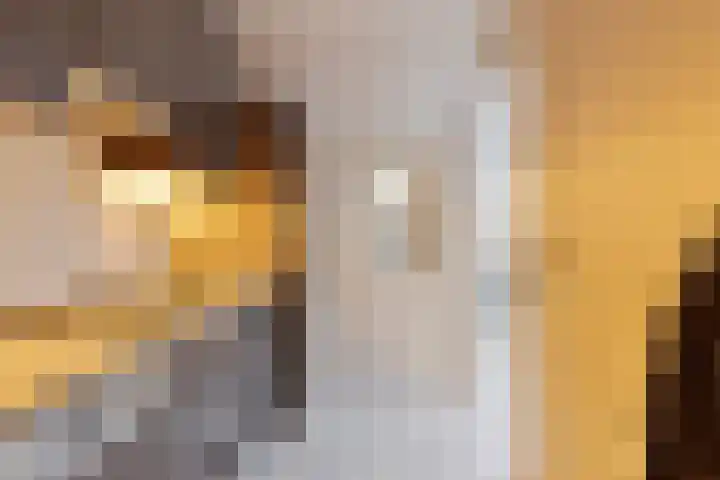 Het Veldje 151 Horst thumbnail 10