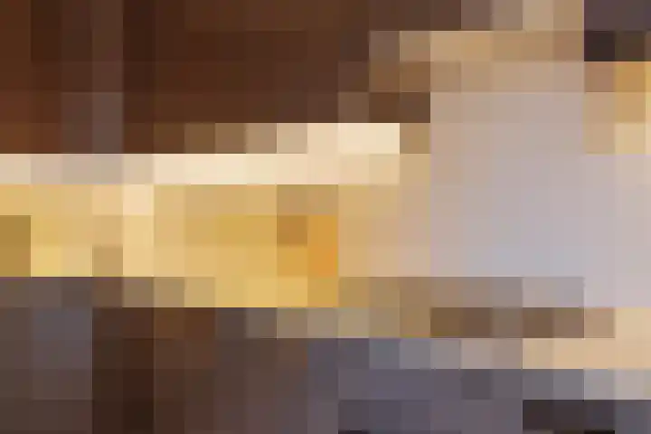 Het Veldje 151 Horst thumbnail 11