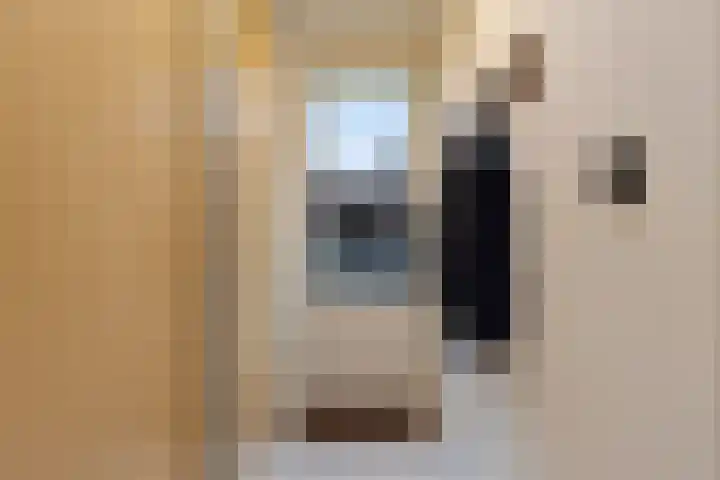 Het Veldje 151 Horst thumbnail 12