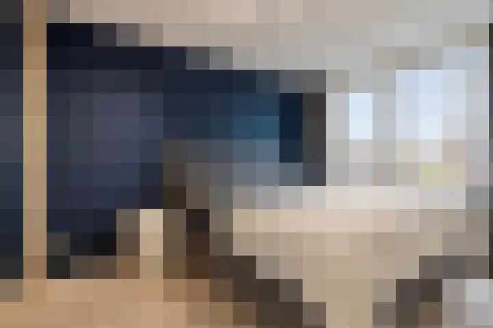 Het Veldje 151 Horst thumbnail 16