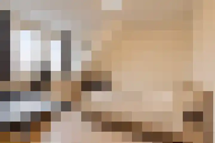 Het Veldje 151 Horst thumbnail 17