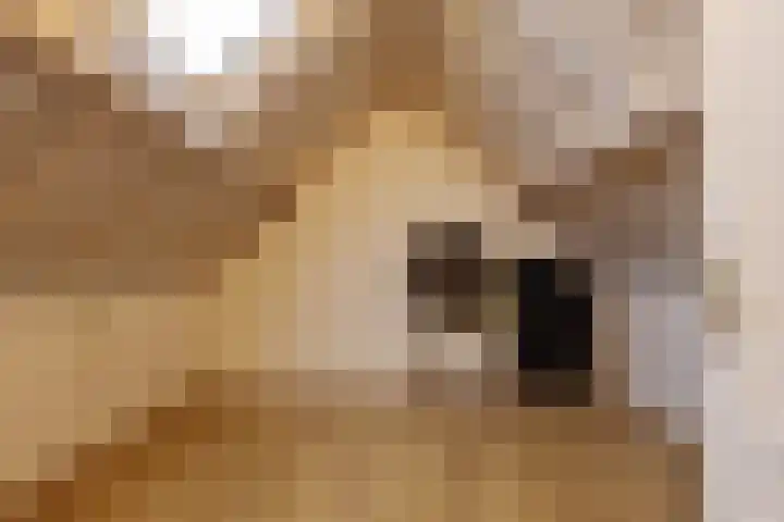 Het Veldje 151 Horst thumbnail 20