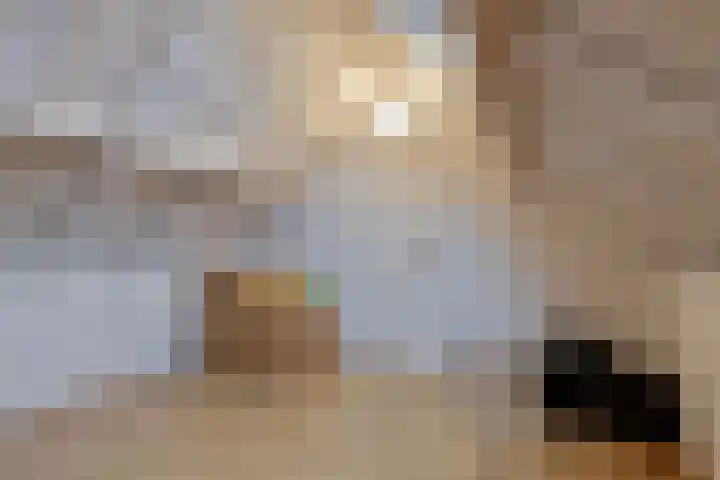Het Veldje 151 Horst thumbnail 21