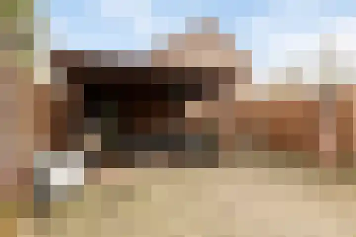 Het Veldje 151 Horst thumbnail 22
