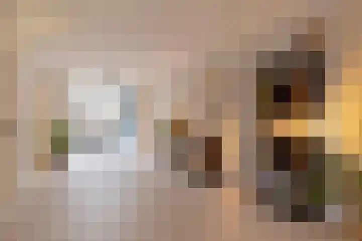 Het Veldje 151 Horst thumbnail 4