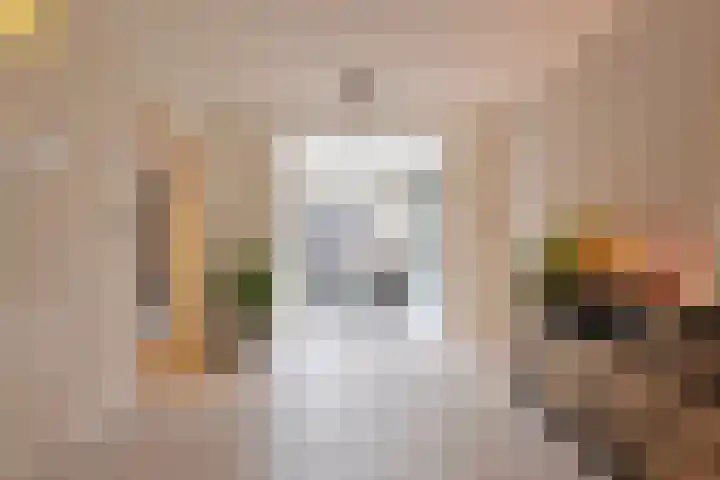 Het Veldje 151 Horst thumbnail 5
